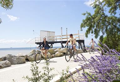 balade à vélo - Sport et détente - Camping Saint Georges de Didonne 