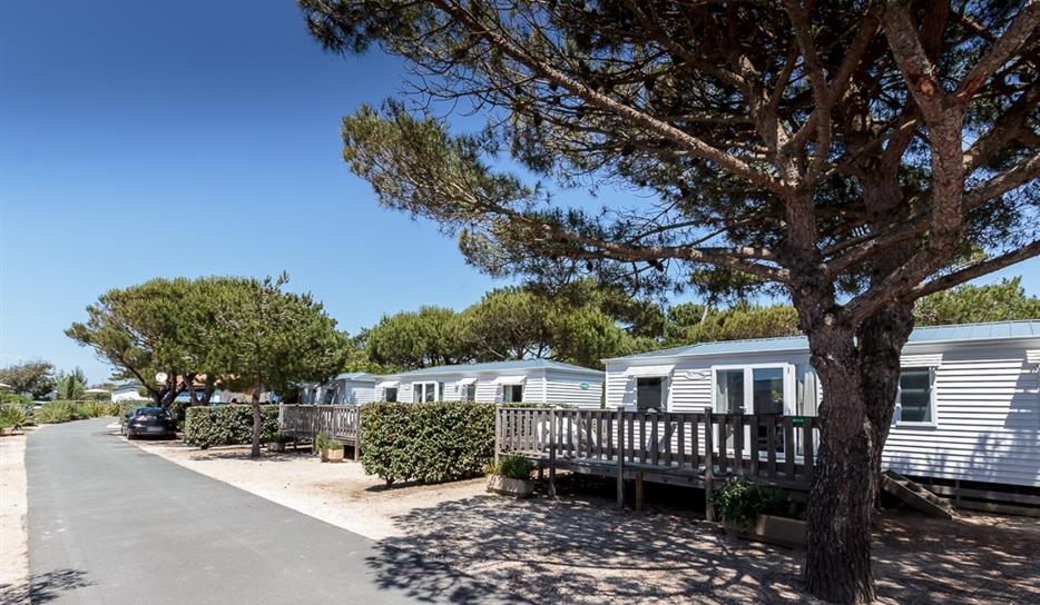 Cottage Mer 3 chambres - Camping 5 étoiles à Saint Georges de Didonne, Charente-Maritime