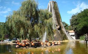 Le Zoo de la Palmyre près du Camping 5 étoiles Bois Soleil, camping bord de mer, location mobil homes, cottages, studios et emplacements camping à Saint-George-de-Didonne près de Royan en Charente Maritime