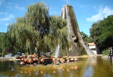 Le Zoo de la Palmyre près du Camping 5 étoiles Bois Soleil, camping bord de mer, location mobil homes, cottages, studios et emplacements camping à Saint-George-de-Didonne près de Royan en Charente Maritime