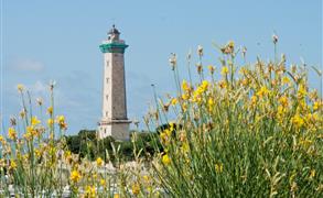 Les phares charentais - Camping Saint-George-de-Didonne 