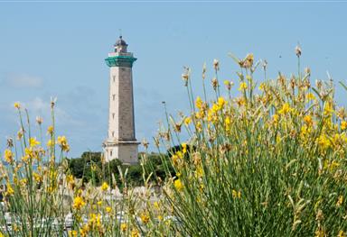 Les phares charentais - Camping Saint-George-de-Didonne 