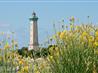Les phares charentais - Camping Saint-George-de-Didonne 