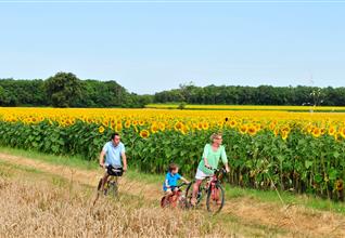 Camping Royan - Camping Bois Soleil et balade en vélos