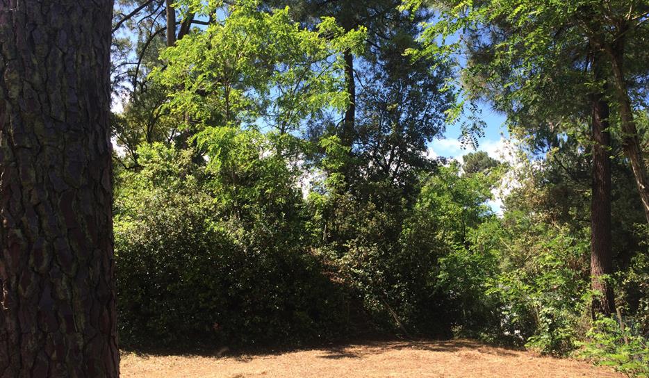 Camping Saint Georges de Didonne ***** - Emplacement tente - 