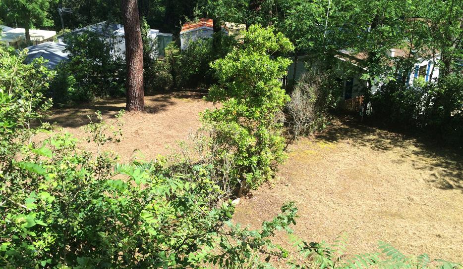 Camping Saint Georges de Didonne - Emplacement tente - 