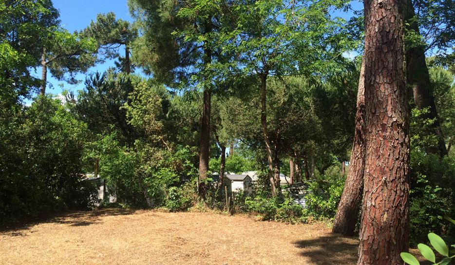 Emplacement tente - Camping ***** Saint Georges de Didonne - 