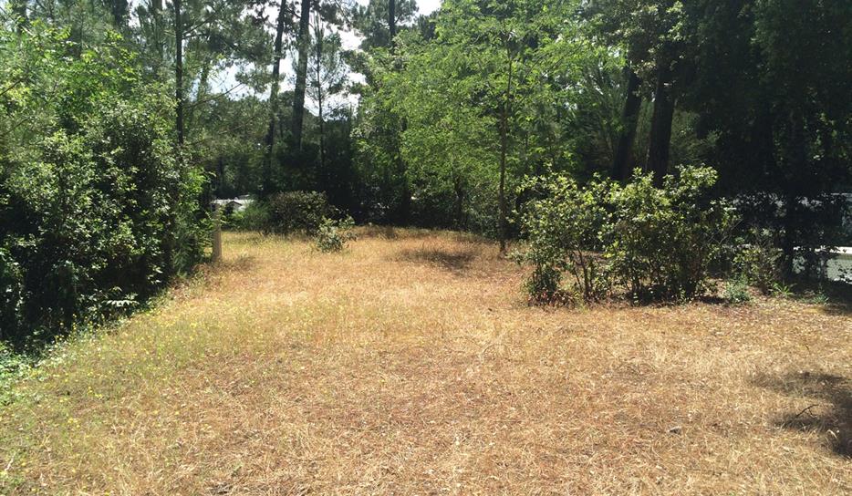 Emplacement tente - Camping Saint Georges de Didonne  5 étoiles 