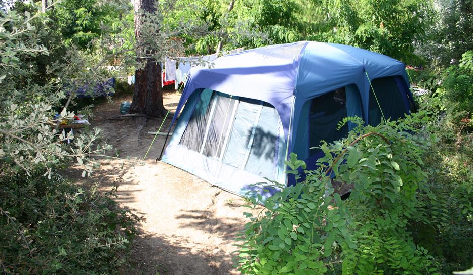 Emplacement Tente Sur Butte Pins Et Mer Emplacements Camping Royan Charente Maritime Camping Bois Soleil