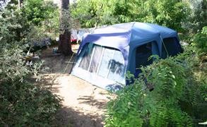 Camping Saint Georges de Didonne - Emplacement tente - Camping entre mer et forêt en Charente-Maritime