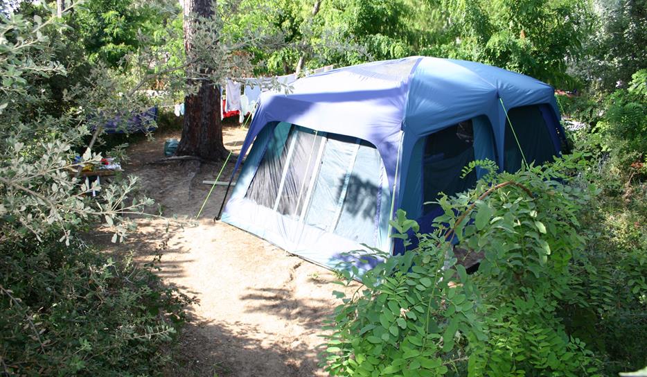 Camping Saint Georges de Didonne - Emplacement tente - Camping entre mer et forêt en Charente-Maritime