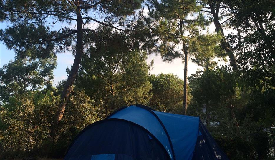 Camping ***** Saint Georges de Didonne - Emplacement tente - Camping entre mer et forêt en Charente-Maritime