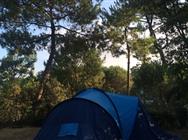 Camping ***** Saint Georges de Didonne - Emplacement tente - Camping entre mer et forêt en Charente-Maritime