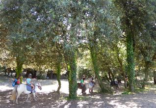 Camping Saint Georges de Didonne - Camping Bois Soleil activité poney