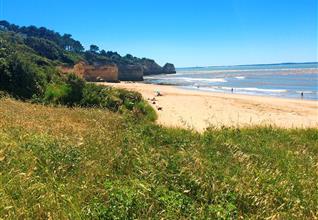 Camping Royan - Camping Bois Soleil petite crique