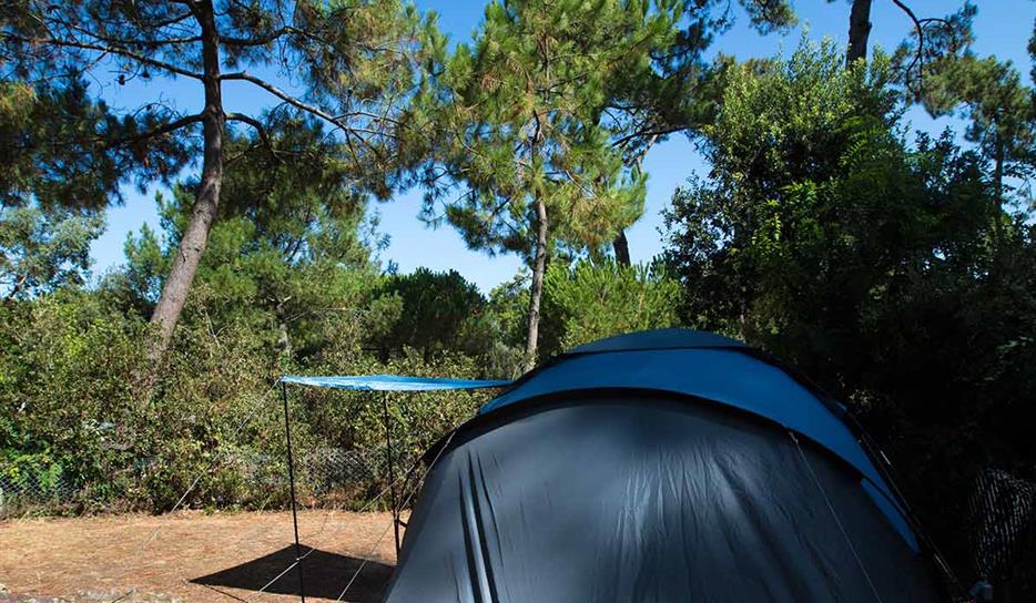 Camping Saint Georges de Didonne 5 étoiles - Emplacement tente - Camping entre mer et forêt en Charente-Maritime