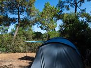 Camping Saint Georges de Didonne 5 étoiles - Emplacement tente - Camping entre mer et forêt en Charente-Maritime