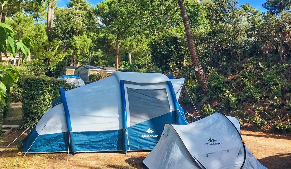 Emplacement caravane - camping car - tente | Camping Saint Georges de Didonne