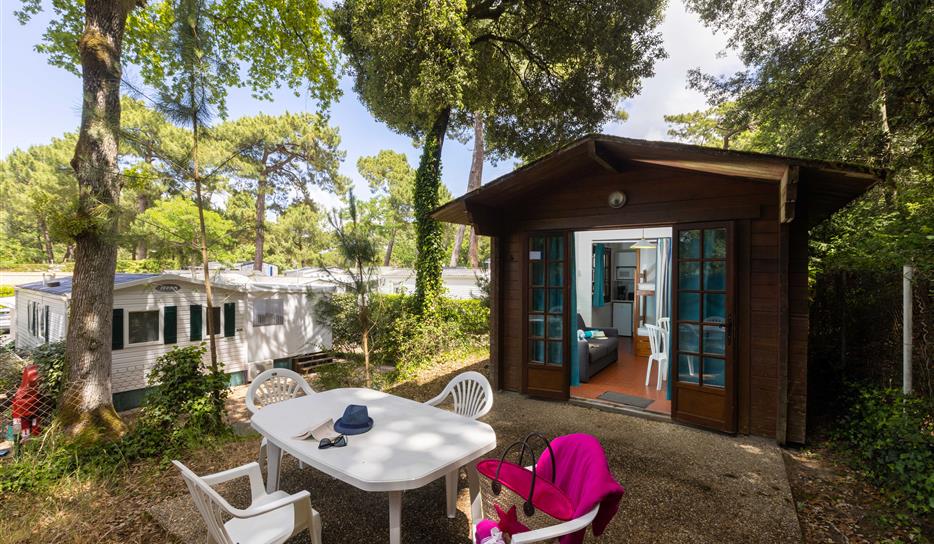 Studio Bois Forêt