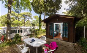 Studio Bois Forêt