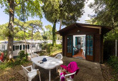 Studio Bois Forêt