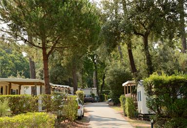 Parc Les Pins